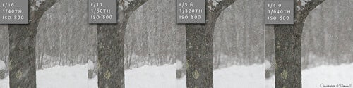 snowfall_aperture