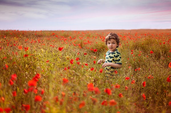 A young boy stands amidst a field of poppies.