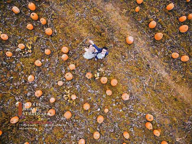 Richmond_Pre-Wedding-Pumpkin-Field