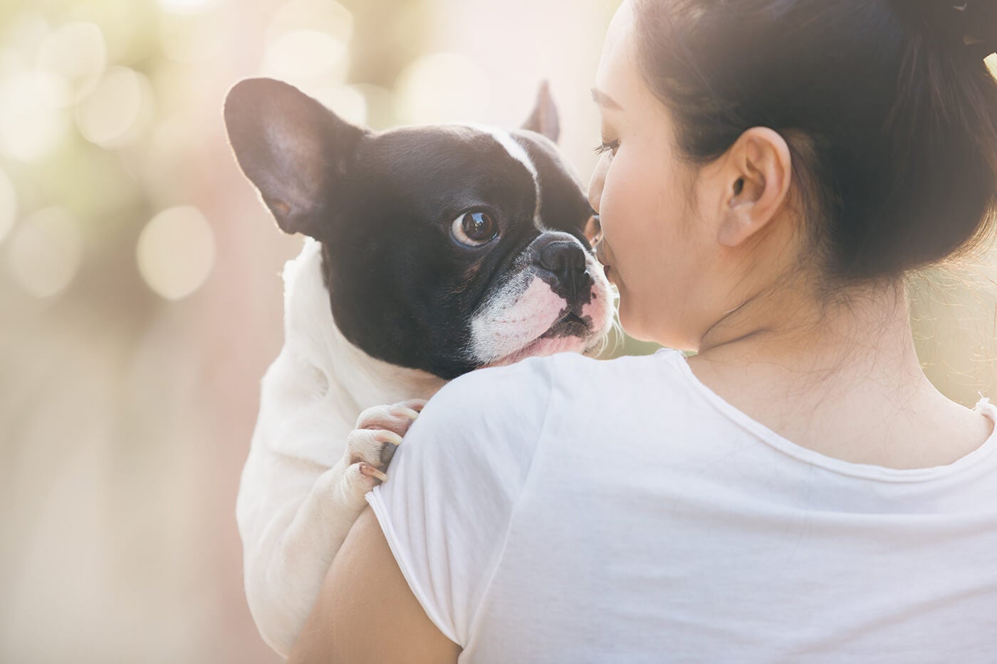 15 Must-Have Poses with Your Pets