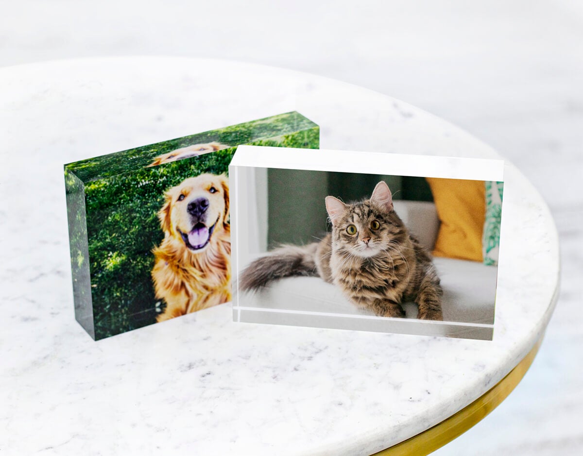acrylic blocks by printique showing pets