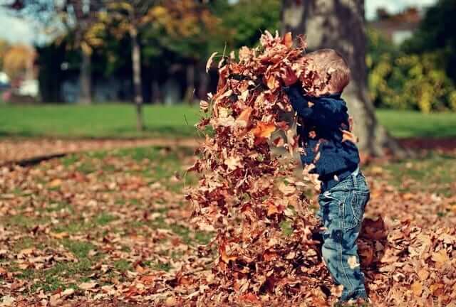 boy-in-leaves