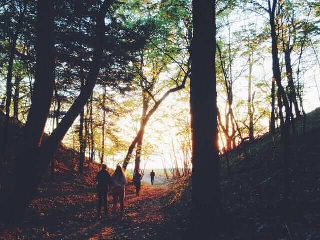 Photograph taken by Pexels.com people-walk-through-woods