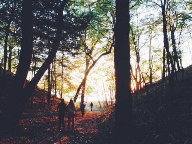 people-walk-through-woods