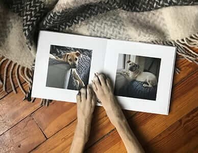 3 Valentine’s Day Photo Book Ideas