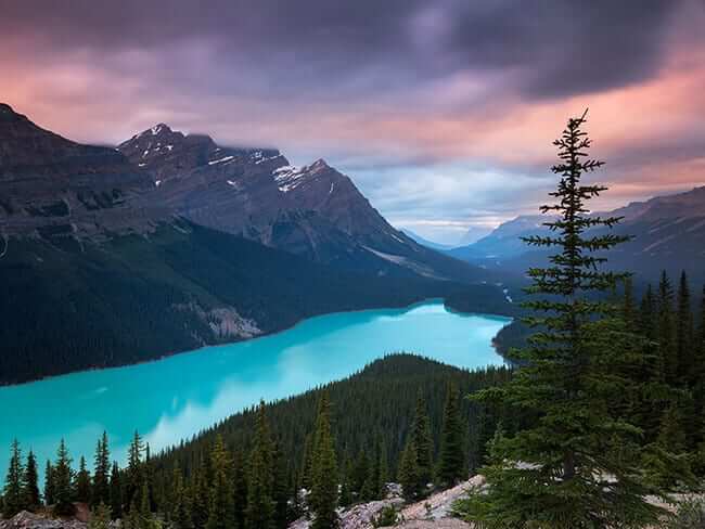 peyto lake