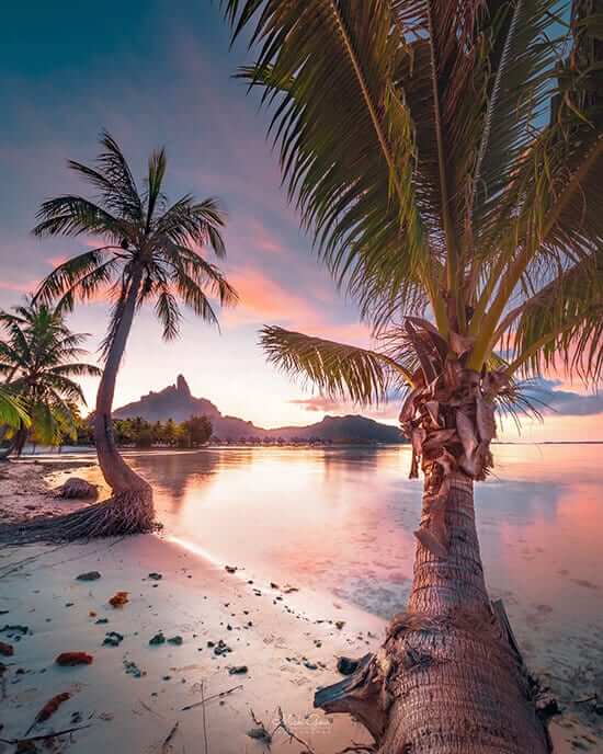 bora bora landscape photograph by micktographer