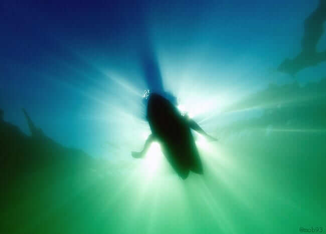 surfer in water