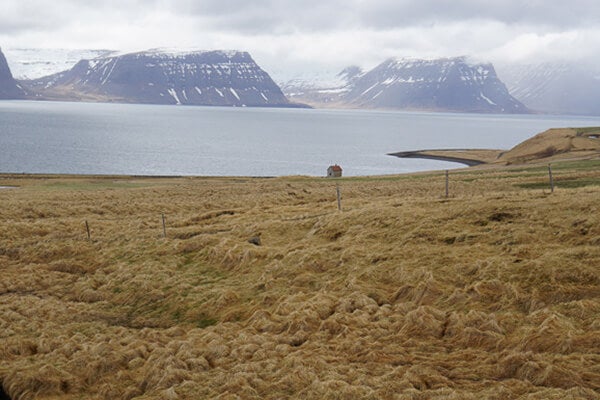 flat unprocessed picture of landscape