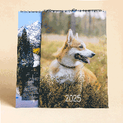 Top Hanging Calendars