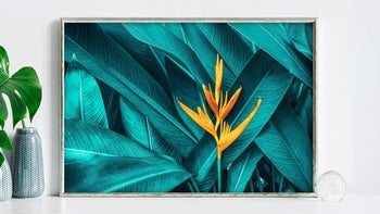 How to Enlarge Photos for Print