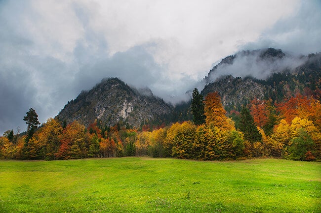 fall landscape with fog