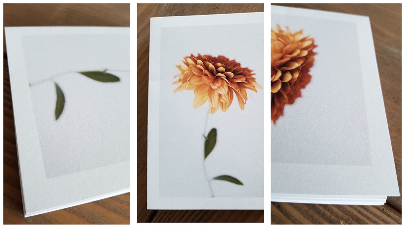 fine art photography cards by printique