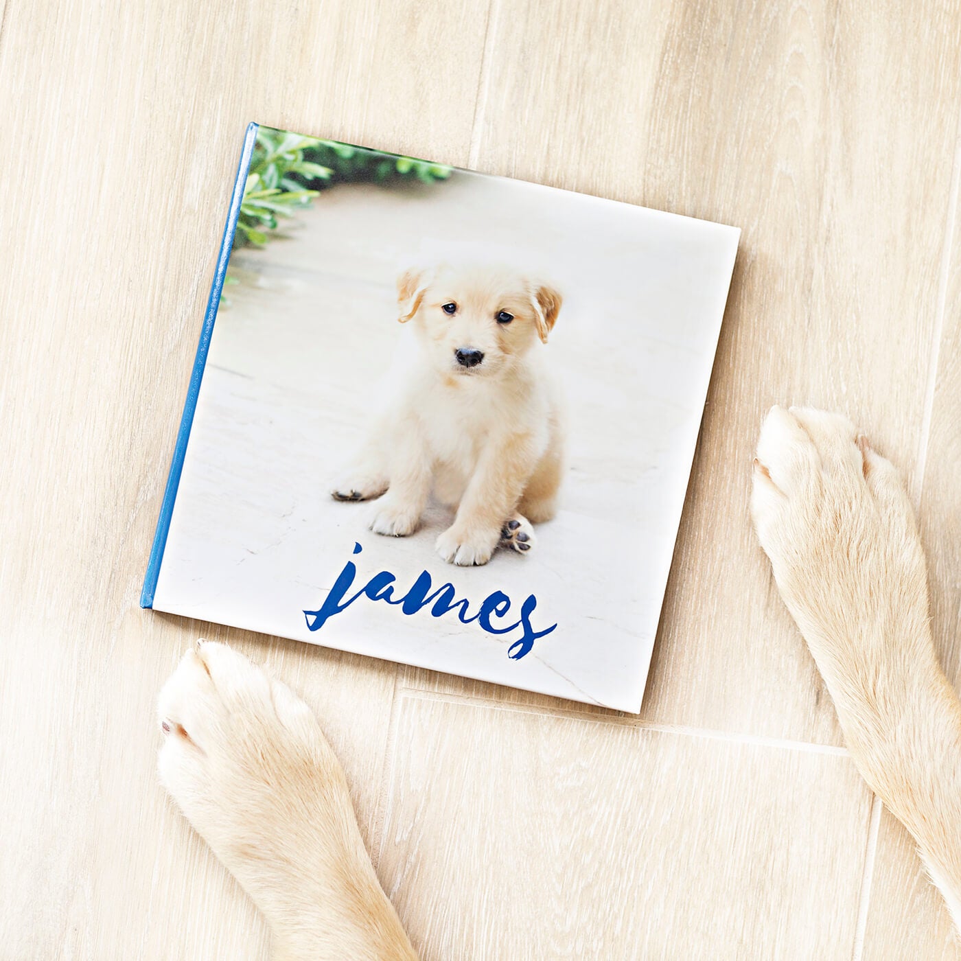 pet photobook by printique 