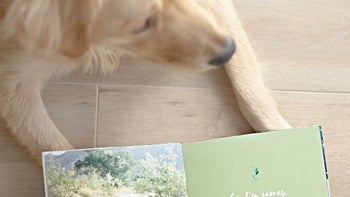 The Ultimate Photo Gift Guide for the Pet Lover