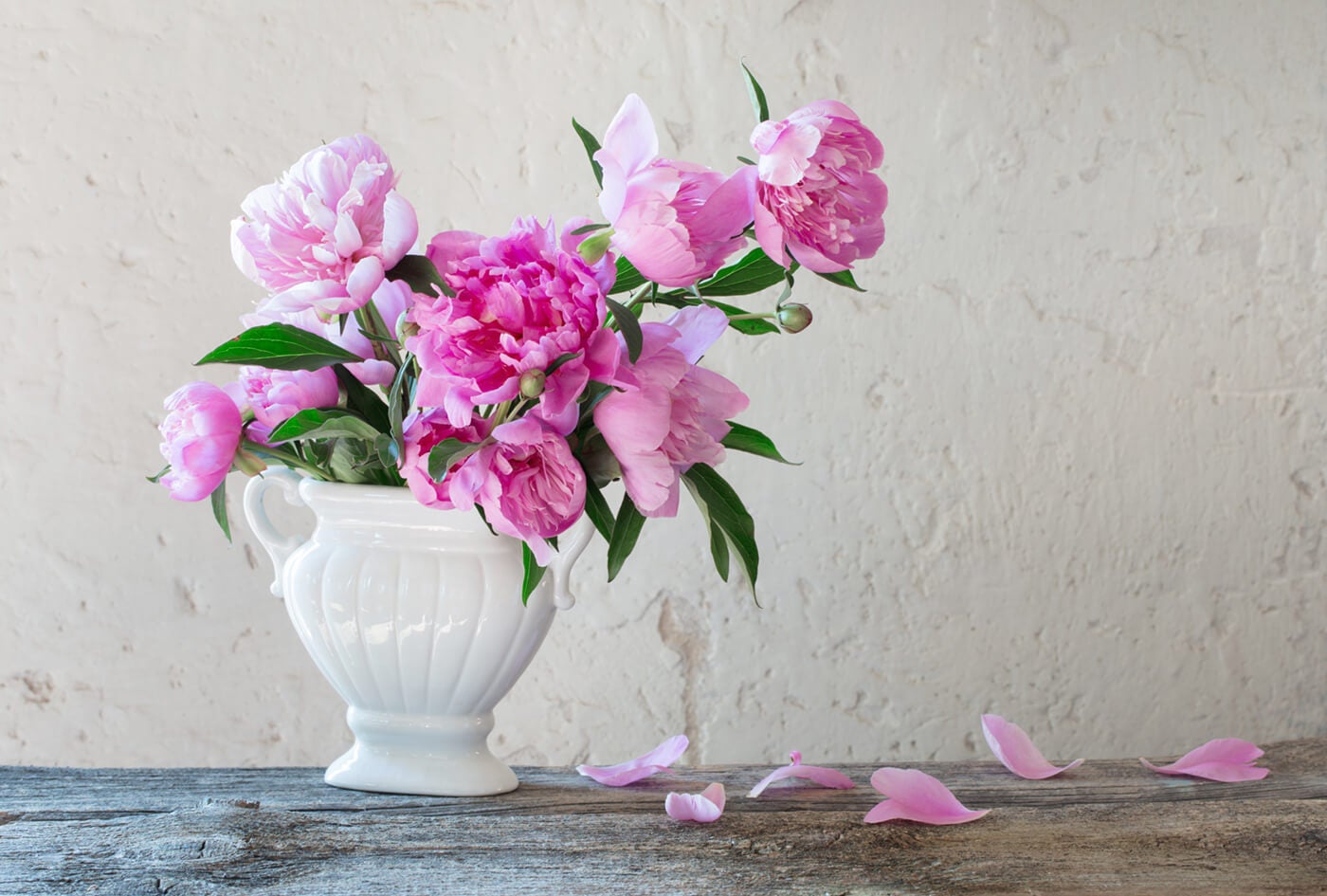 Pink flowers - Printique