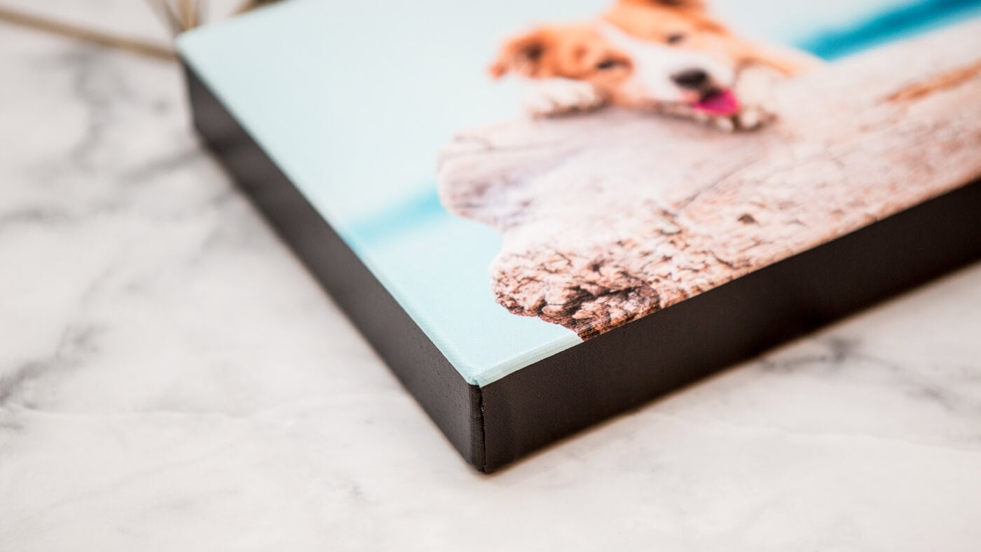 canvas print by printique showing dog
