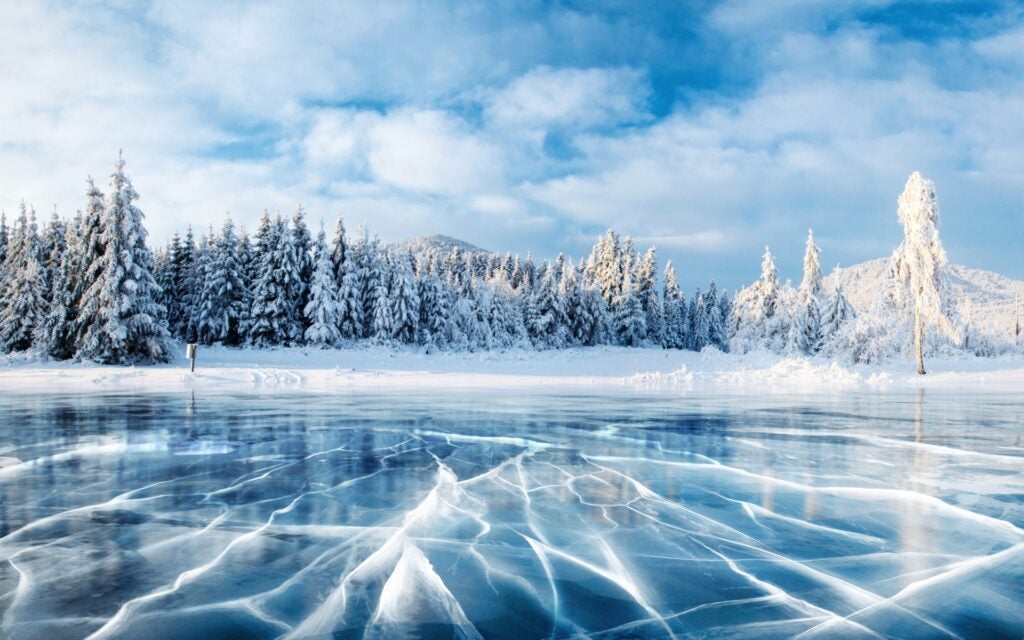 Snow covered evergreen trees line an iced-over lake.