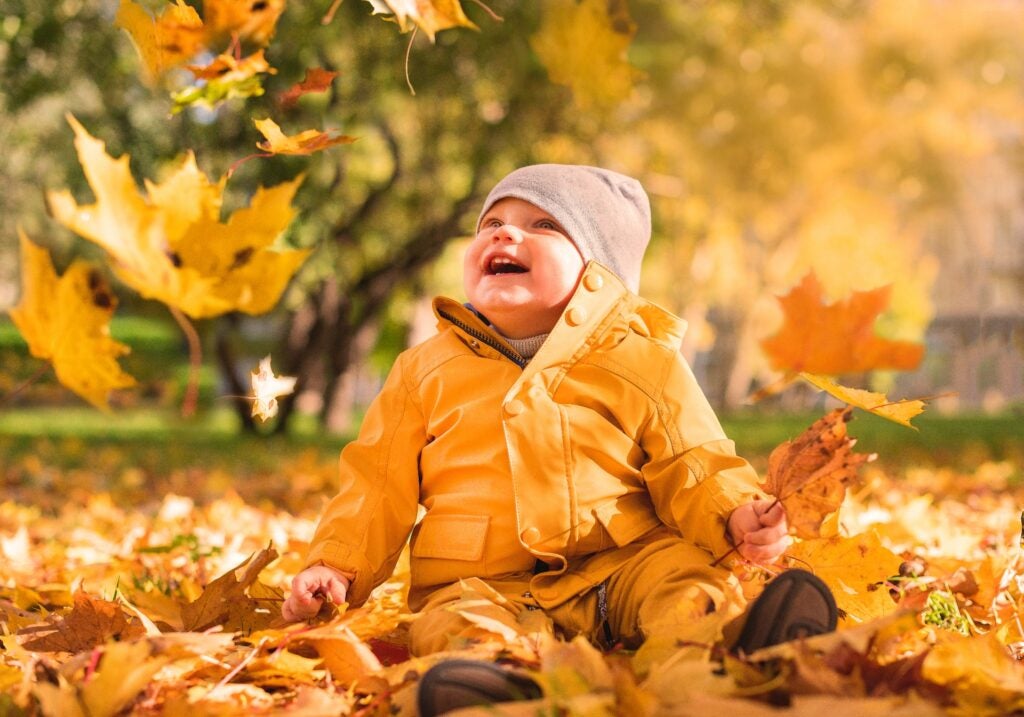 Baby plays in fall leaves for holiday photo.