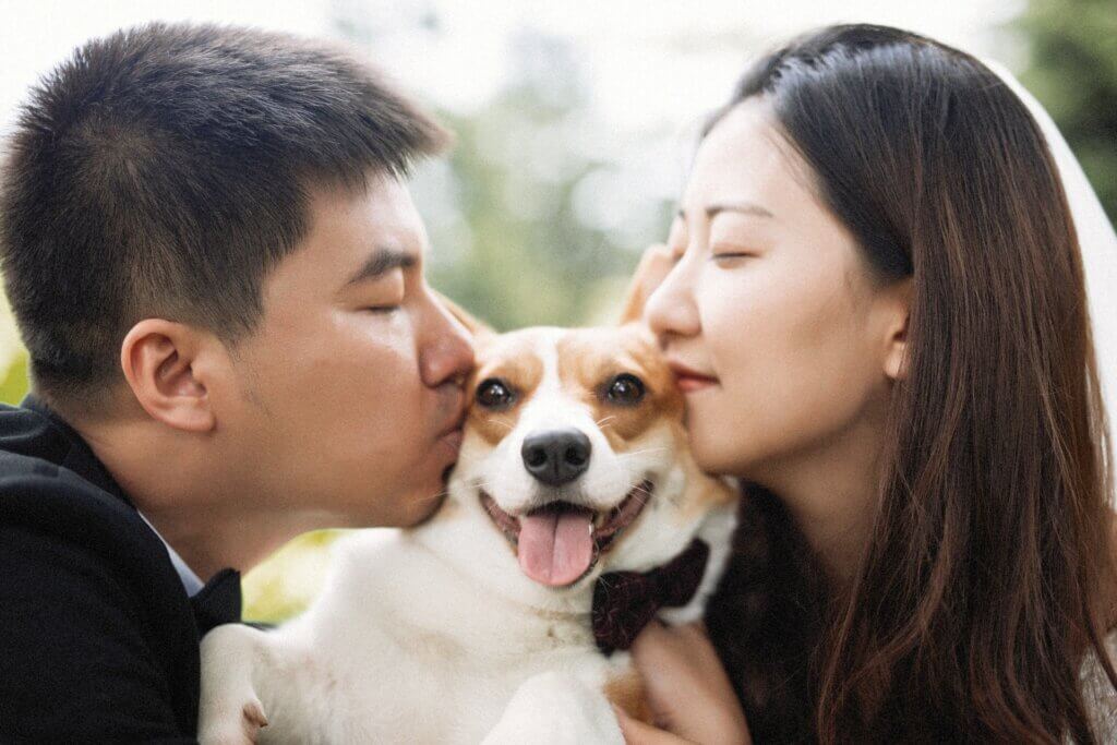 Couple photo shoot accompanied by adorable dog.