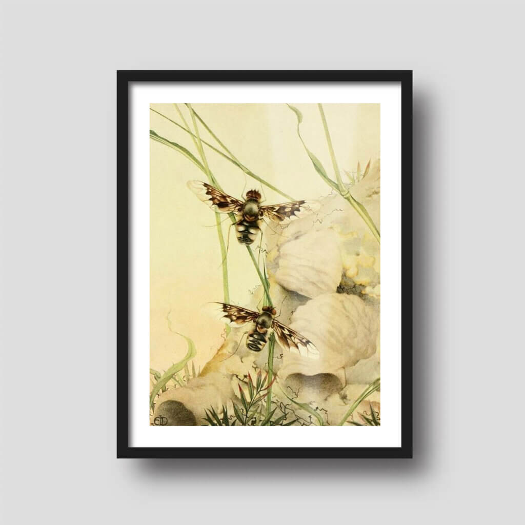50-free-printable-art-downloads-printique-an-adorama-company