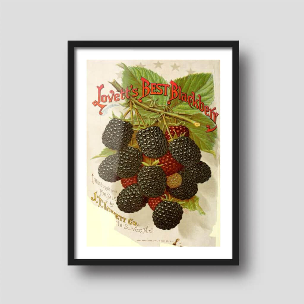 50+ Free Printable Art Downloads Printique, An Adorama Company