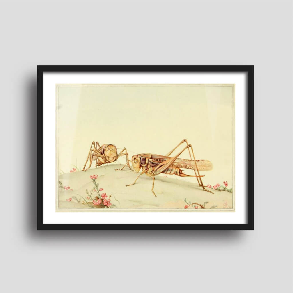 Free printable art of gorgeous insect illustrations, displayed on a framed print.