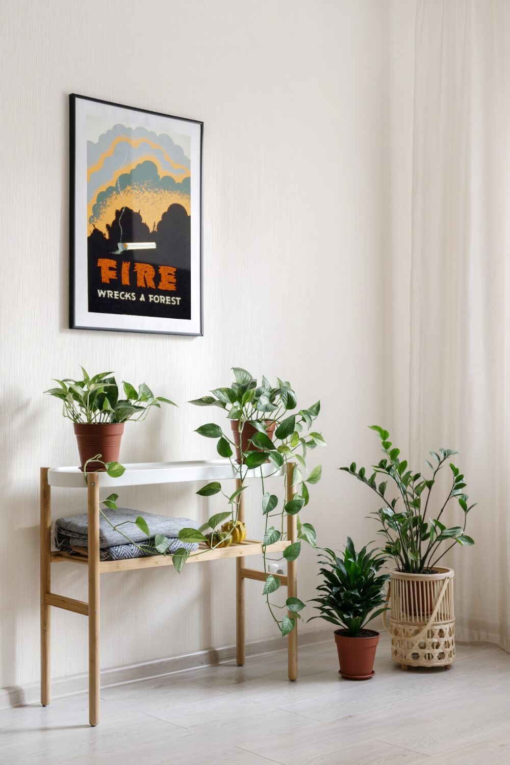 Apartment-Friendly Decor: A Guide