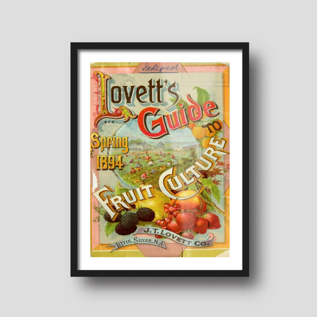 Free printable art of the colorful cover of a fruit seed catalog, displayed on a framed print.