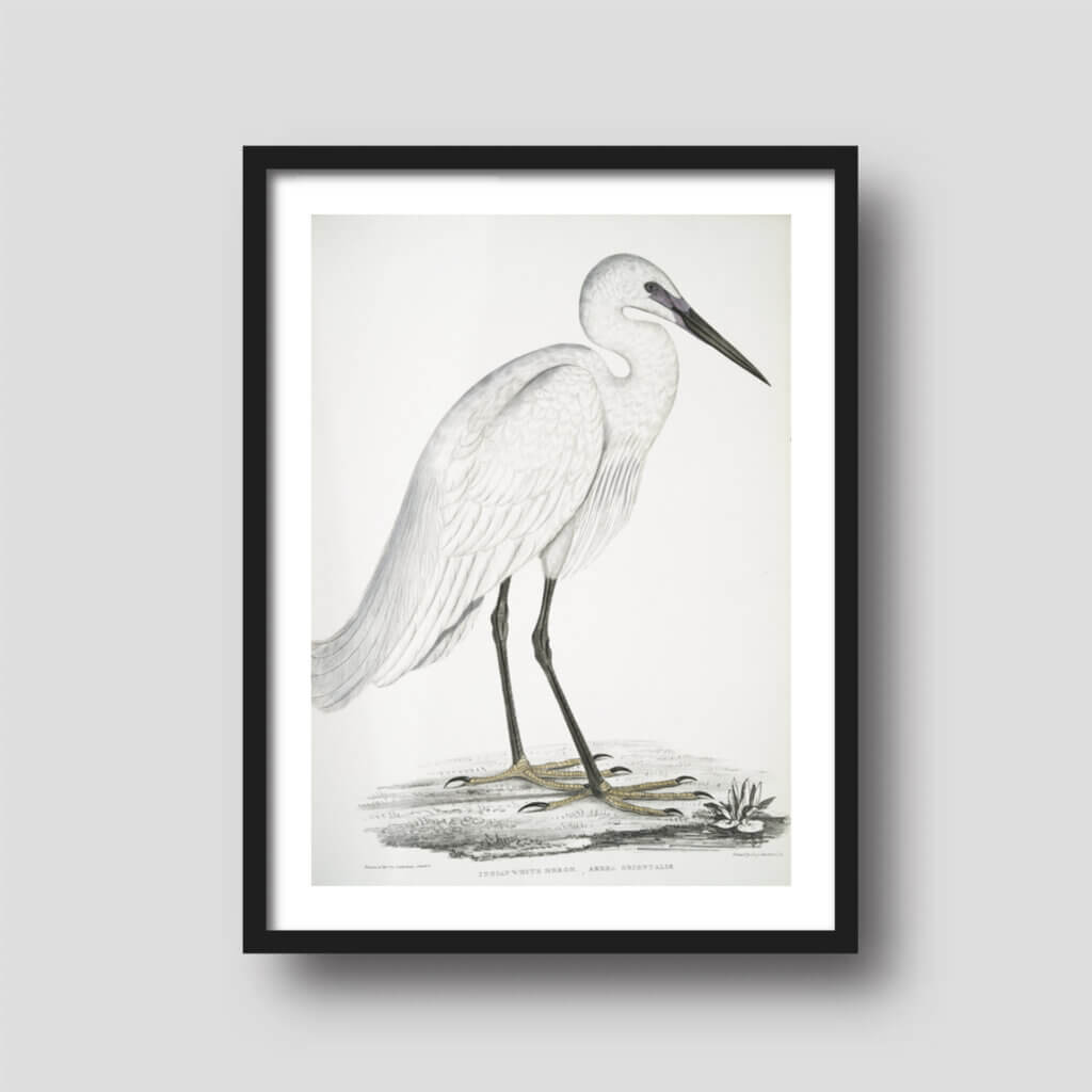 50+ Free Printable Art Downloads Printique, An Adorama Company