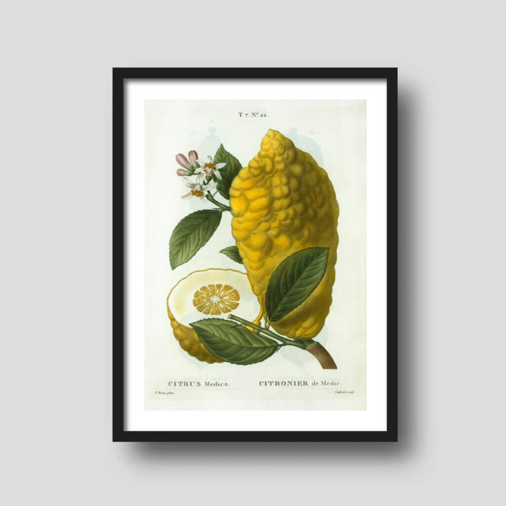 50+ Free Printable Art Downloads - Printique, An Adorama Company