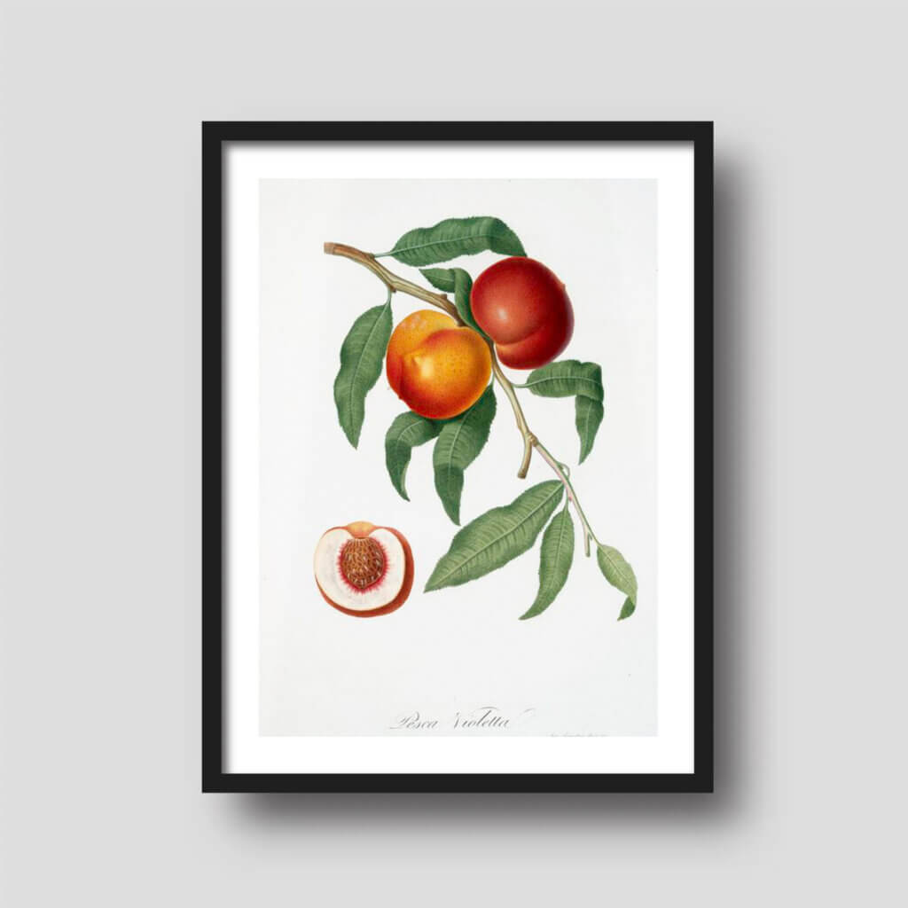 Free printable art of a colorful peach tree branch, displayed on a framed print.