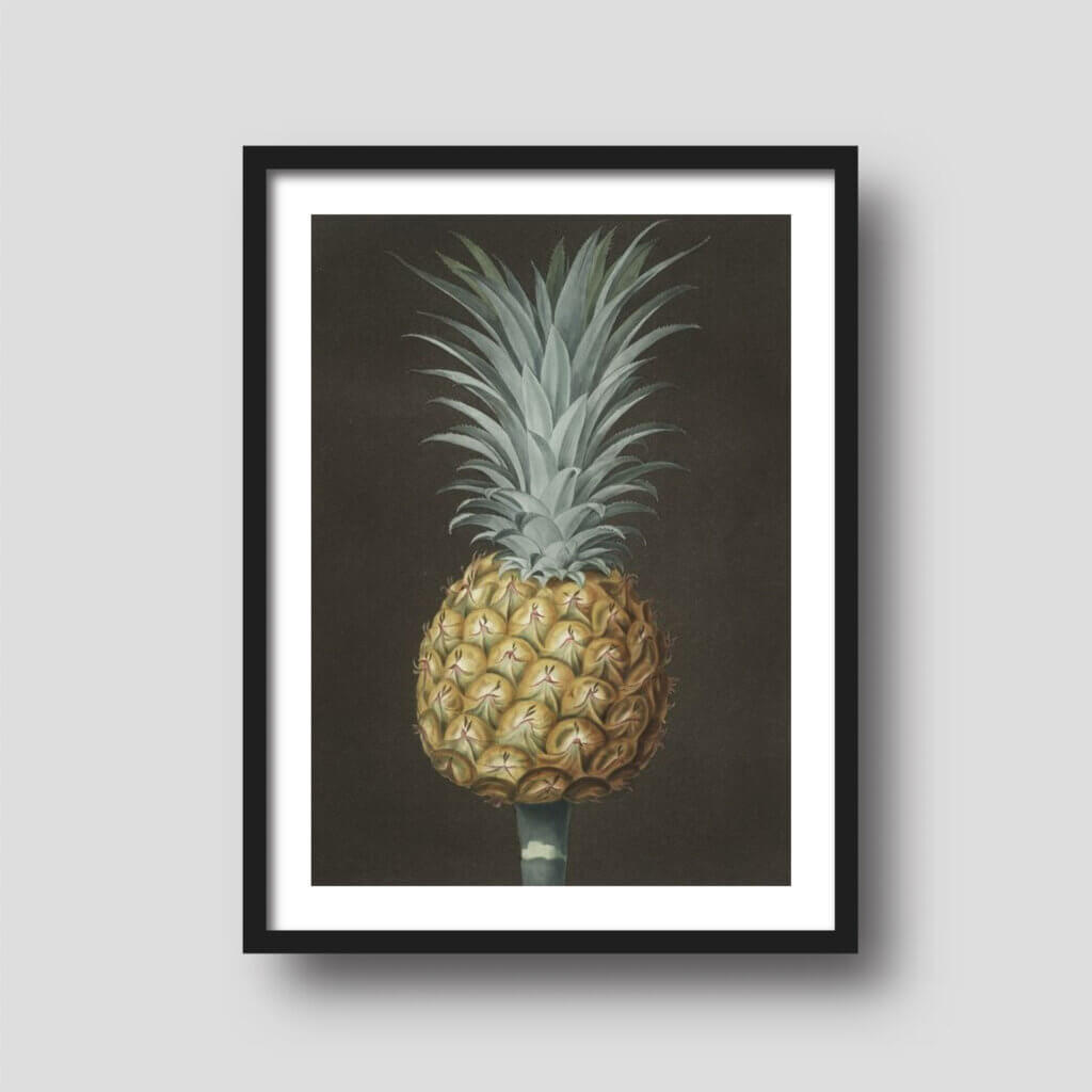 Free printable art of a pineapple with a black background, displayed on a framed print.