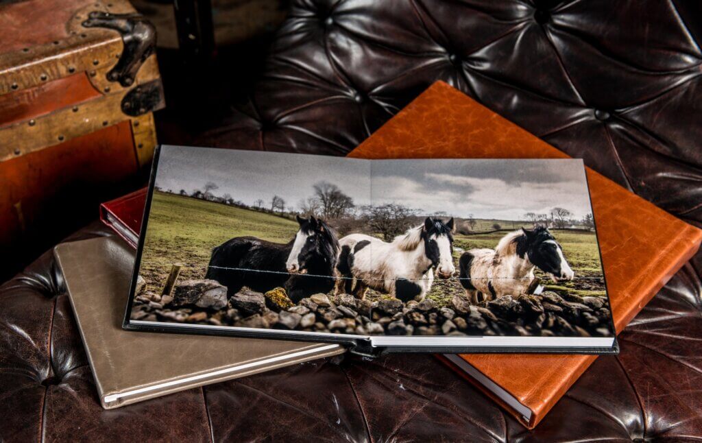 The spread pages of a custom photo album showcases a photograph of horses on an Ireland estate.
