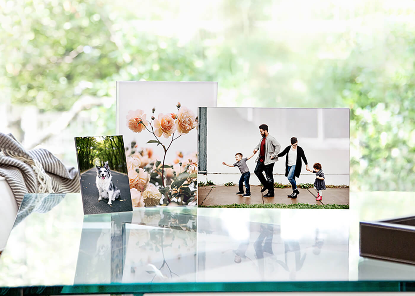 Acrylic Prints