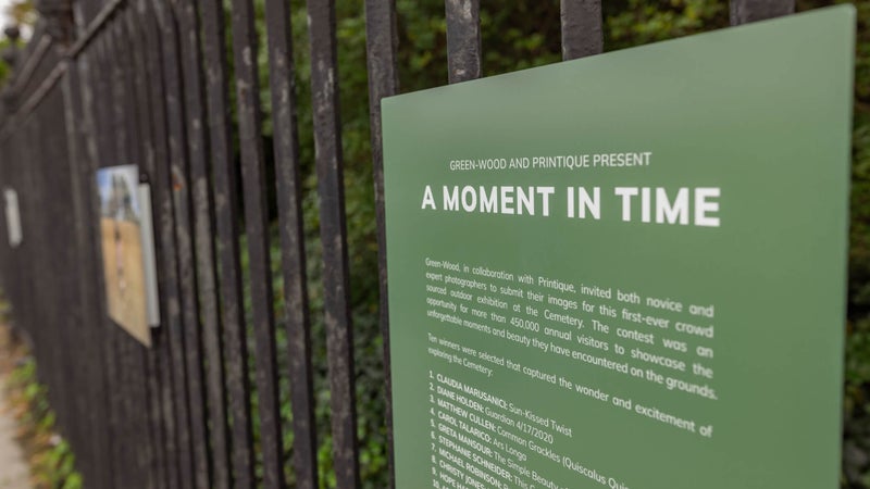 Premium Custom Prints & Photo Books - Printique, An Adorama Company