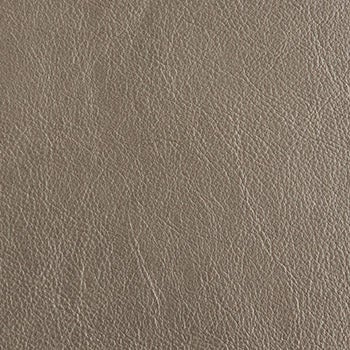 Metallic Bronze