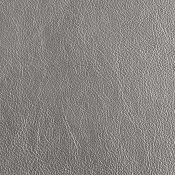 Metallic Silver