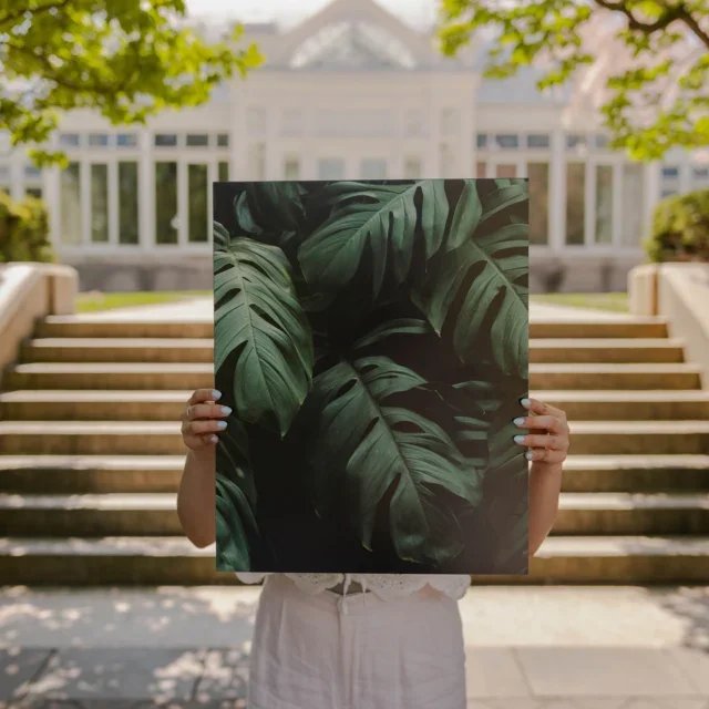 Unlock the beauty of botanical gardens! Capture these 3 key shots: the grand view, intricate blooms, and your personal connection. ✨🌺🚶‍♀️

Explore in the garden with our quality materials.